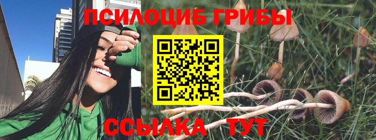 Псилоцибиновые грибы прущие грибы  Псилоцибиновые грибы MAGIC MUSHROOMS  Вход с VPN  Подольск 