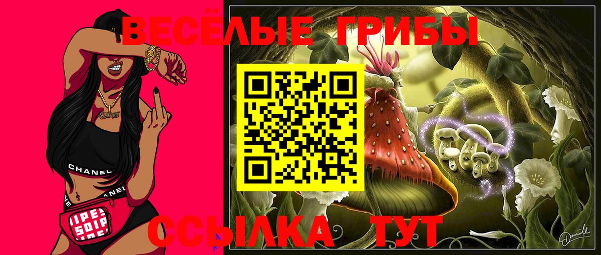 Псилоцибиновые грибы Magic Shrooms Подольск